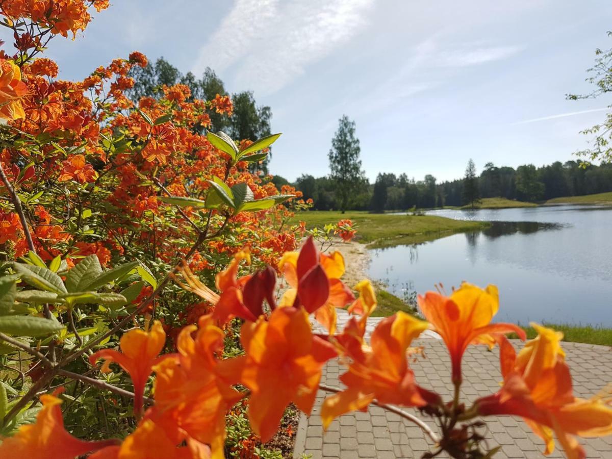 Mezdzirnas Country House & Spa Kabile Екстериор снимка